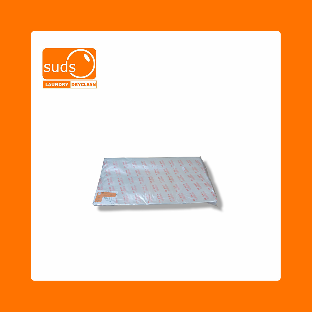 PLASTIC- 20 X 30 (100'S) - FLAT